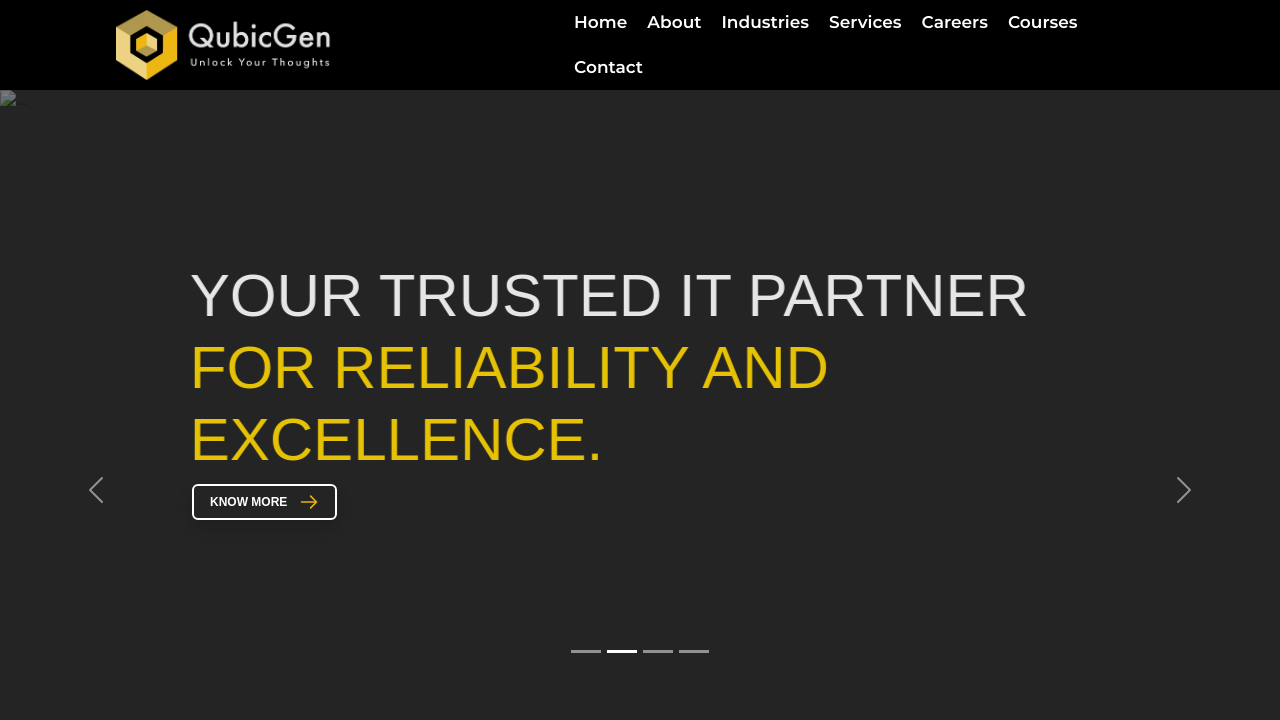 Qubic Gen Portfolio